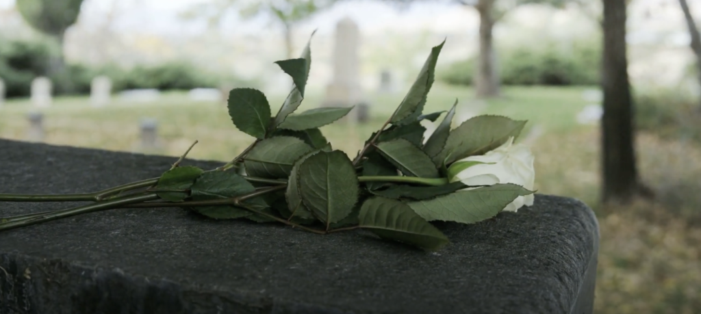 a white rose placed atop a headstone